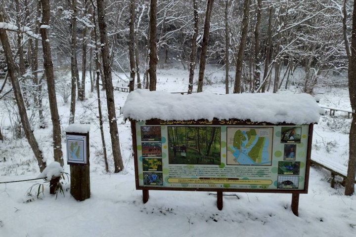 �V�_�̗���i�F